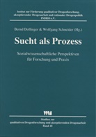 Bernd Dollinger, Wolfgang Schneider - Sucht als Prozess