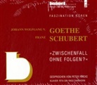 Franz Schubert, Johann Wolfgang von Goethe, Peter Fricke - "Zwischenfall ohne Folgen?", 2 Audio-CDs (Audio book)