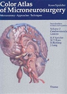 Ingrid Koos, Wolfgang T Koos, Wolfgang T. Koos, Wolfgang Th. Koos, Johannes Lang, B. Richling... - Color Atlas of Microneurosurgery - Vol.2: Color Atlas of Microneurosurgery: Volume 2 - Cerebrovascular Lesions