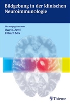 Eilhard Mix, Andreas Petri, Uwe Klau Zettl, Uwe Klaus Zettl, Klaus Zettl, Klaus Zettl... - Bildgebung in der klinischen Neuroimmunologie