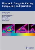 Bernar Dallemagne, Bernard Dallemagne, Mich Degueldre, Michel Degueldre, Wolfgan Feil, Wolfgang Feil... - Ultrasonic Energy for Cutting, Coagulating and Dissecting