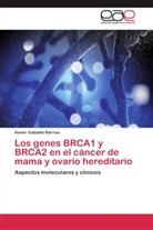 Xavier Gabaldó Barrios - Los genes BRCA1 y BRCA2 en el cáncer de mama y ovario hereditario