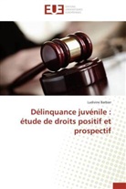 Ludivine Barbier, Barbier-l - Delinquance juvenile: etude de