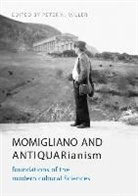 Peter N Miller, Peter N. Miller, University of California Los Angeles, William Andrews Clark Memorial Library - Momigliano and Antiquarianism