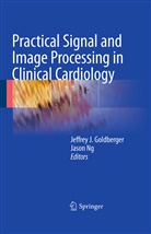 Jeffrey J Goldberger, Jeffrey J. Goldberger, Jeffre J Goldberger, Jeffrey J Goldberger, Ng, Ng... - Practical Signal and Image Processing in Clinical Cardiology