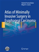 Cuesta, Cuesta, Miguel Cuesta, Shailes Puntambekar, Shailesh Puntambekar - Atlas of Minimally Invasive Surgery in Esophageal Carcinoma