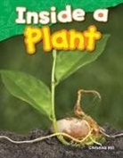 Christina Hill - Inside a Plant