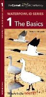 Kevin McGowan, Kevin J. McGowan, Waterford Press, Waterford Press, Waterford Press - The Cornell Lab of Ornithology Waterfowl Id 1 the Basics