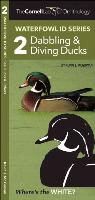Kevin McGowan, Kevin J. McGowan, Waterford Press, Waterford Press, Waterford Press - The Cornell Lab of Ornithology Waterfowl Id 2 Dabbling & Diving Ducks