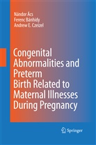 Nandor Acs, Nándor Ács, Ferenc G. Banhidy, Ferenc G. Bánhidy, Andrew E. Czeizel, Andrew E Czeizel... - Congenital Abnormalities and Preterm Birth Related to Maternal Illnesses During Pregnancy