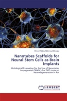 Ahmed Abdou Mahmoud Elnegiry - Nanotubes Scaffolds for Neural Stem Cells as Brain Implants