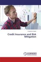 Cengizhan Kaptan - Credit Insurance and Risk Mitigation