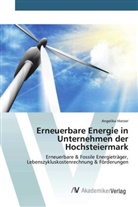Angelika Hierzer - Erneuerbare Energie in Unternehmen der Hochsteiermark