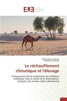 Abdelhai Guerouali, Fatima Zahr Laabouri, Fatima Zahra Laabouri - Le rechauffement climatique et l