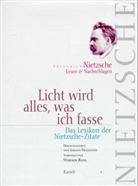 Friedrich Nietzsche, Johann Prossliner - Licht wird alles, was ich fasse