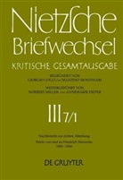 Renat Müller-Buck, Renate Müller-Buck, Friedrich Nietzsche, Holger Schmid, Giorgio Colli, Norber Miller... - Briefwechsel, Kritische Gesamtausgabe - 7/1: Nachbericht zur dritten Abteilung. Briefe von und an Friedrich Nietzsche, Januar 1880 - Dezember 1884. Tl.1
