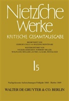 Friedrich Nietzsche, Giorgio Colli, Johann Figl, Volker Gerhardt, Katherin Glau, Katherina Glau... - Werke, Kritische Gesamtausgabe - Band 5: Nachgelassene Aufzeichnungen. Frühjahr 1868 - Herbst 1869