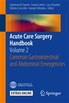 Luca Ansaloni, Luca Ansaloni et al, Faust Catena, Fausto Catena, Federico Coccolini, Salomone Di Saverio... - Acute Care Surgery Handbook