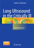 Daniel A Lichtenstein, Daniel A. Lichtenstein - Lung Ultrasound in the Critically Ill