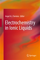 Ange Torriero, Angel Torriero, Angel A. J. Torriero - Electrochemistry of Ionic Liquids