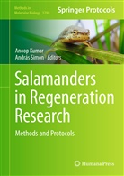 Anoo Kumar, Anoop Kumar, Simon, Simon, Andras Simon, András Simon - Salamanders in Regeneration Research