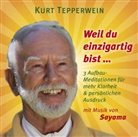 Sayama, Kurt Tepperwein - Weil du einmalig bist ..., Audio-CD (Hörbuch)
