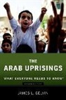 James Gelvin, James L. Gelvin - Arab Uprisings