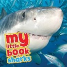 Camilla De La Baedoyaere, Camilla de la Bedoyere - My Little Book of Sharks
