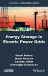 Gauthier Delille, Bruno Fran Ois, Bruno Fran?ois, Bruno Francois, Bruno François, Beno T. Robyns... - Energy Storage in Electric Power Grids