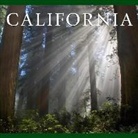 Tanya Lloyd Kyi - California