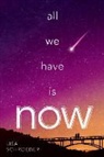 Lisa Schroeder - All We Have Is Now