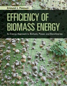 K Ptasinski, Krzysztof J Ptasinski, Krzysztof J. Ptasinski, Ptasinski Krzysztof J. - Efficiency of Biomass Energy