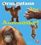 Allan Morey - Orangutans Are Awesome!