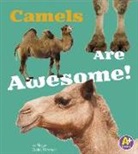 Allan Morey - Camels Are Awesome!