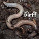 Martha E. Rustad, Martha E. H. Rustad, Martha Elizabeth Hillman Rustad - What's in the Dirt?