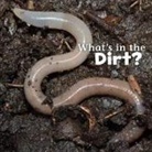 Martha E H Rustad, Martha E. Rustad, Martha E. H. Rustad, Martha Elizabeth Hillman Rustad - What's in the Dirt?