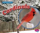 Lisa J Amstutz, Lisa J. Amstutz - Cardinals