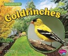 Lisa J Amstutz, Lisa J. Amstutz - Goldfinches