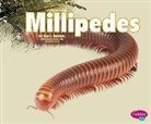 Nikki Bruno Clapper - Millipedes