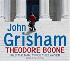 John Grisham - Theodore Boone (Audiolibro)