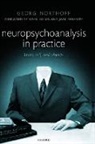 Georg Northoff, Northoff Georg - Neuropsychoanalysis in Practice