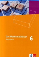 Das Mathematikbuch, Ausgabe N: 6. Schuljahr, Begleitband