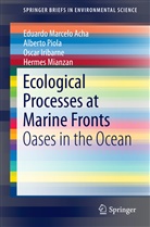 Eduardo Marcel Acha, Eduardo Marcelo Acha, Osc Iribarne, Oscar Iribarne, Hermes Mianzan, Albert Piola... - Ecological Processes at Marine Fronts