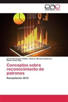 Davi Hernandez Padilla, David Hernandez Padilla, Silvia Moreno Gutierrez, Silvia S. Moreno Gutierrez, Daniel Velez Díaz - Conceptos sobre reconocimiento de patrones