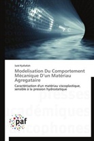 Saïd Rjafiallah, Rjafiallah-s - Modelisation du comportement