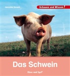 Veronika Straaß - Das Schwein
