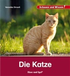 Veronika Straaß - Die Katze