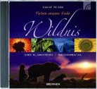 David Plüss, Karin Lüthi, Urs Lüthi - Farben unserer Erde - Wildnis, 1 Audio-CD (Hörbuch)