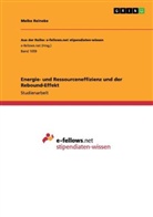 Meike Reineke - Energie- und Ressourceneffizienz und der Rebound-Effekt