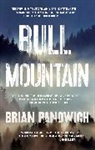Brian Panowich - Bull Mountain